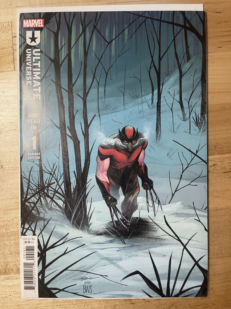 ULTIMATE UNIVERSE ONE YEAR IN 1 CAPPUCCIO VARIANT MARVEL COMICS 2024
